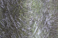 Garderhouse fibreglass roof work